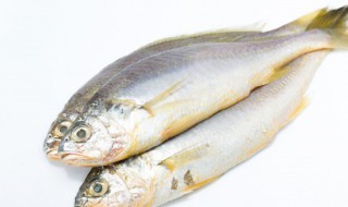 没有冰箱怎么保存生鱼 没有冰箱怎么保存生鱼肉