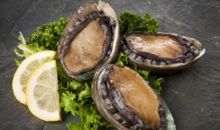 蒸鲍鱼怎么杀 鲍鱼要杀了后蒸吗