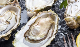 微波炉烤生蚝的做法 微波炉烤生蚝的做法视频