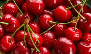 怎么防止鸟吃樱桃（如何防止鸟吃樱桃）