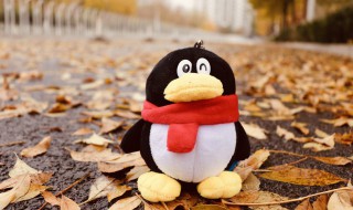 qq怎么接龙 qq怎么接龙回复信息