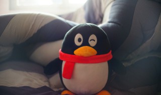 qq群怎么打卡（qq群怎么打卡不显示图片）