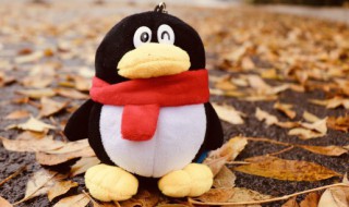 qq空间智能挂件怎么取消 qq空间的挂件怎么取消