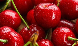 樱桃怎么打膨大素（樱桃使用膨大剂）