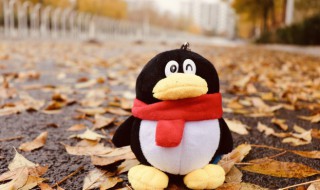 好听的qq分组名字一套 好听的qq分组名称一套