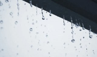 梅雨季节家里如何防潮防霉（梅雨天气怎么防潮发霉）