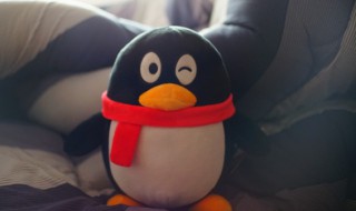 怎么把qq语音保存到手机上 怎么把qq语音保存到手机上OPPO