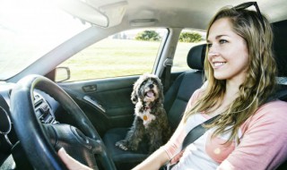 如何防止刹车分泵的锈死（油刹分泵锈住怎么办）