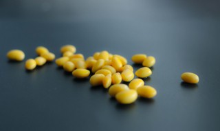 黄豆怎么烧好吃 泡好的黄豆怎么烧好吃