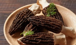 羊肚菌怎么烧好吃（羊肚菌烧汤怎么烧）