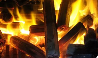 木炭怎么烧（我的世界木炭怎么烧）