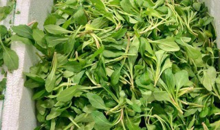 马兰头怎么烧好吃 马兰头怎么煮