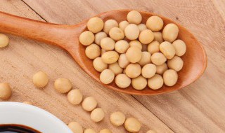 老黄豆怎么烧好吃（黄豆怎么红烧）