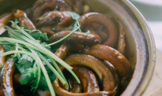红烧黄鳝怎么烧好吃 红烧黄鳝怎么做最好吃