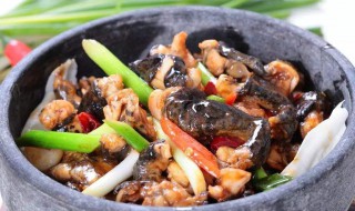 石鸡怎么烧（石鸡怎么烧嫩）