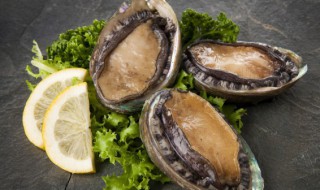 鲍鱼怎么清洗保存方法(鲍鱼清洗完怎么保存)