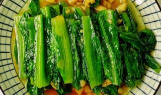 油麦菜怎么烧（油麦菜怎么烧不苦）