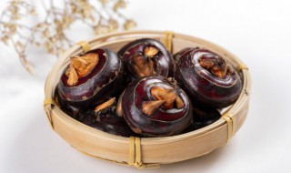 马蹄怎么烧 马蹄怎么烧菜