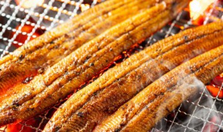 鳗鱼干怎么烧好吃 海鳗干怎么烧好吃