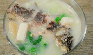 母狗喝的鲫鱼汤怎么做（母狗产后鲫鱼汤怎么做）