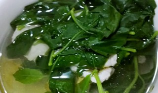 枸杞叶怎么做汤 枸杞叶怎么做汤好吃