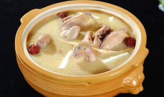 鸽子煲汤怎么做 鸽子煲汤怎么做营养好