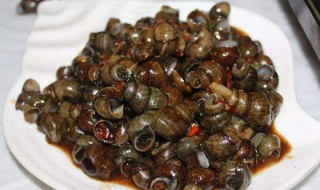 田螺肉怎么烧（田螺肉怎么烧才嫩又好吃）