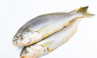 溪鱼怎么烧（溪鱼怎么烧汤会白）