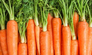 胡萝卜怎么做最好吃（胡萝卜怎么做的好吃）