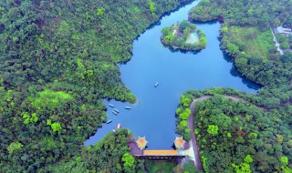 鼎湖山景区旅游攻略（鼎湖山景区路线）