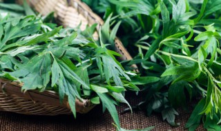 艾叶粑粑怎么做好吃（艾叶粑粑怎么做好吃又绿）