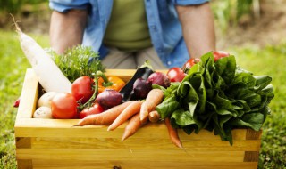 清洗后的青菜怎么保鲜 洗过的青菜如何保鲜