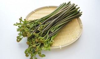 蕨菜图片怎么做好吃(蕨菜的做法怎么做好吃)