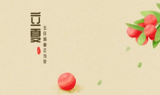 立夏文章句子（关于立夏的优美句子）