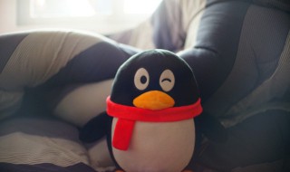 qq群怎么匿名（qq群怎么匿名提问）