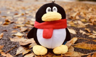 qq状态怎么设置 qq状态怎么设置wifi在线