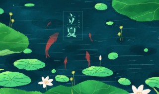 立夏优美句子 描写立夏的优美句子