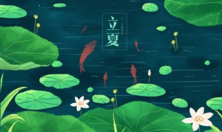 立夏的祝福短信（立夏送祝福）