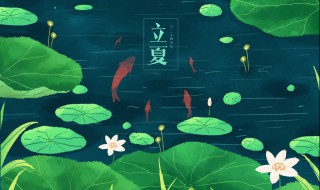 立夏祝福短语语 立夏的祝福语怎么说