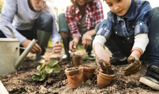 如何给小木槿浇水（小木槿花怎么浇水）