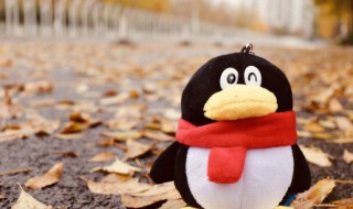 qq邮箱怎么查（qq邮箱怎么查注册时间）