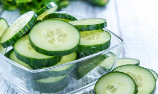 阳台花盆种黄瓜的方法（阳台怎样种黄瓜）