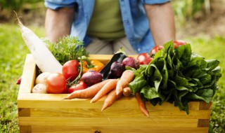 水培胡萝卜的方法(如何水培胡萝卜)