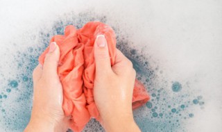 兔毛毛衣怎么清洗(怎样清洗兔毛衣)