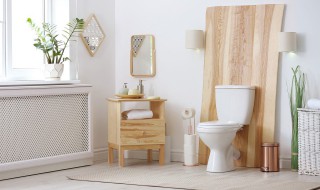 卫生间臭味怎么消除 卫生间臭味怎么消除全国最大废旧电子产品回收中心