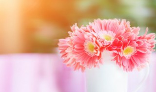 鲜花可以保存多长时间 鲜花能保鲜多长时间