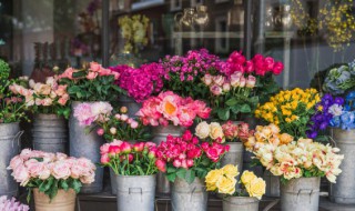 超长花期的鲜切花有哪些（鲜切花哪个品种的鲜花花期最长）