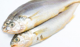 鱼怎么煮才好吃 山胡椒鱼怎么煮才好吃