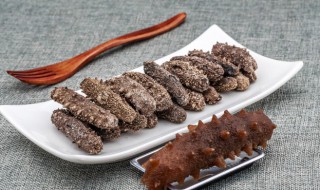 海参的食用方法和用量（海参的用法与用量）