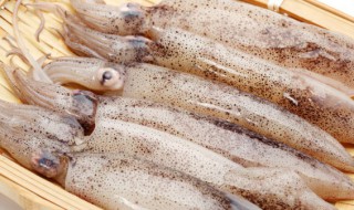 蒸鲜鱿鱼的做法（蒸鱿鱼的做法大全家常菜做法）